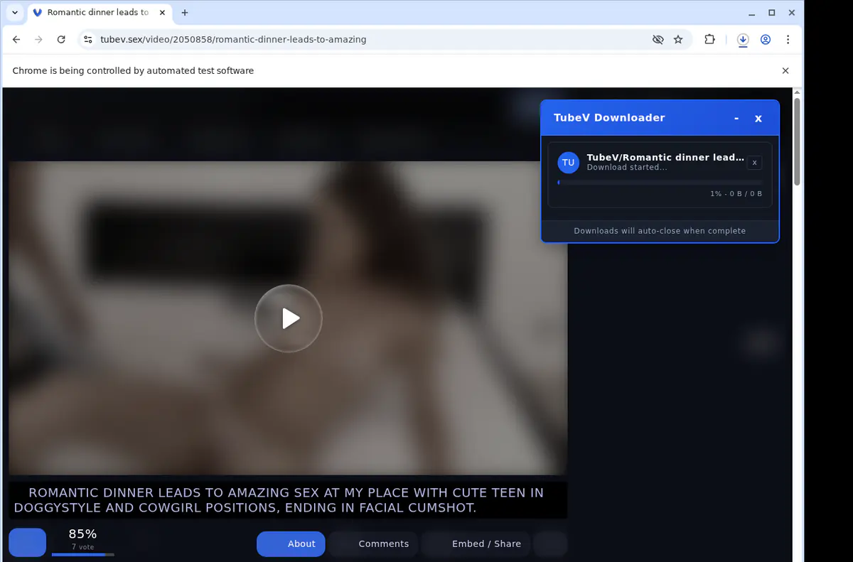 Tubev Video Downloader browser extension screenshot 2
