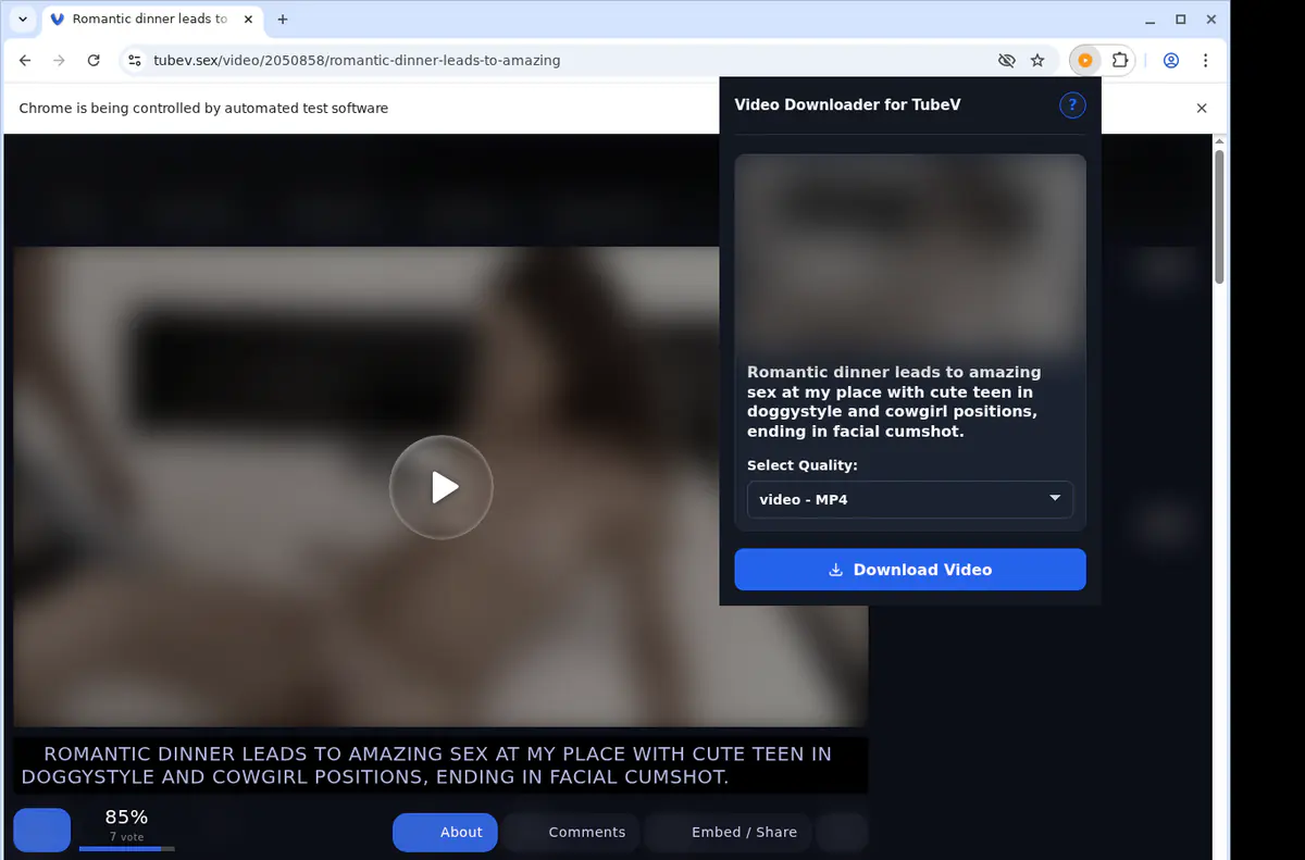 Tubev Video Downloader browser extension screenshot 3